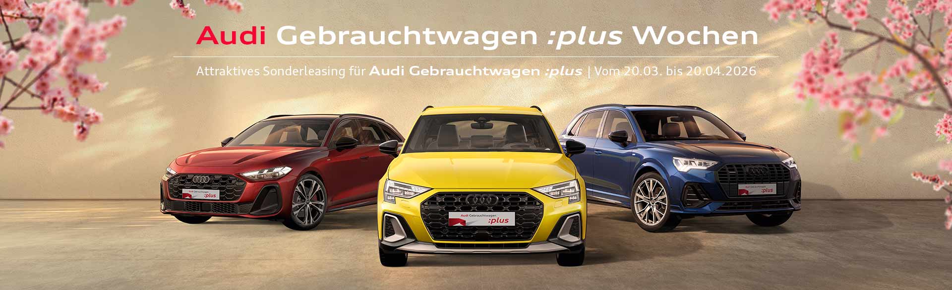Audi Gebrauchtwagen :plus Wochen | ZEMKE Autohaus Bernau GmbH Audi Gebrauchtwagen :plus Wochen | ZEMKE Autohaus Bernau GmbH